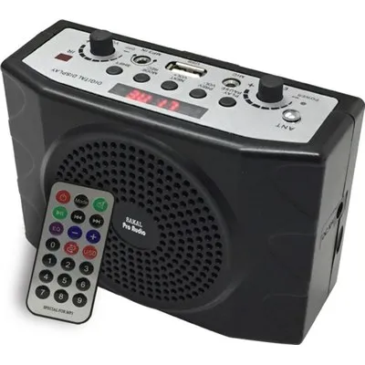 חגורת הגברה PRO AUDIO SKL-137